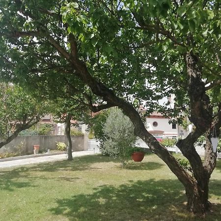 CastellʼAlfero Monferrato Asti-Luminosa Villa מראה חיצוני תמונה